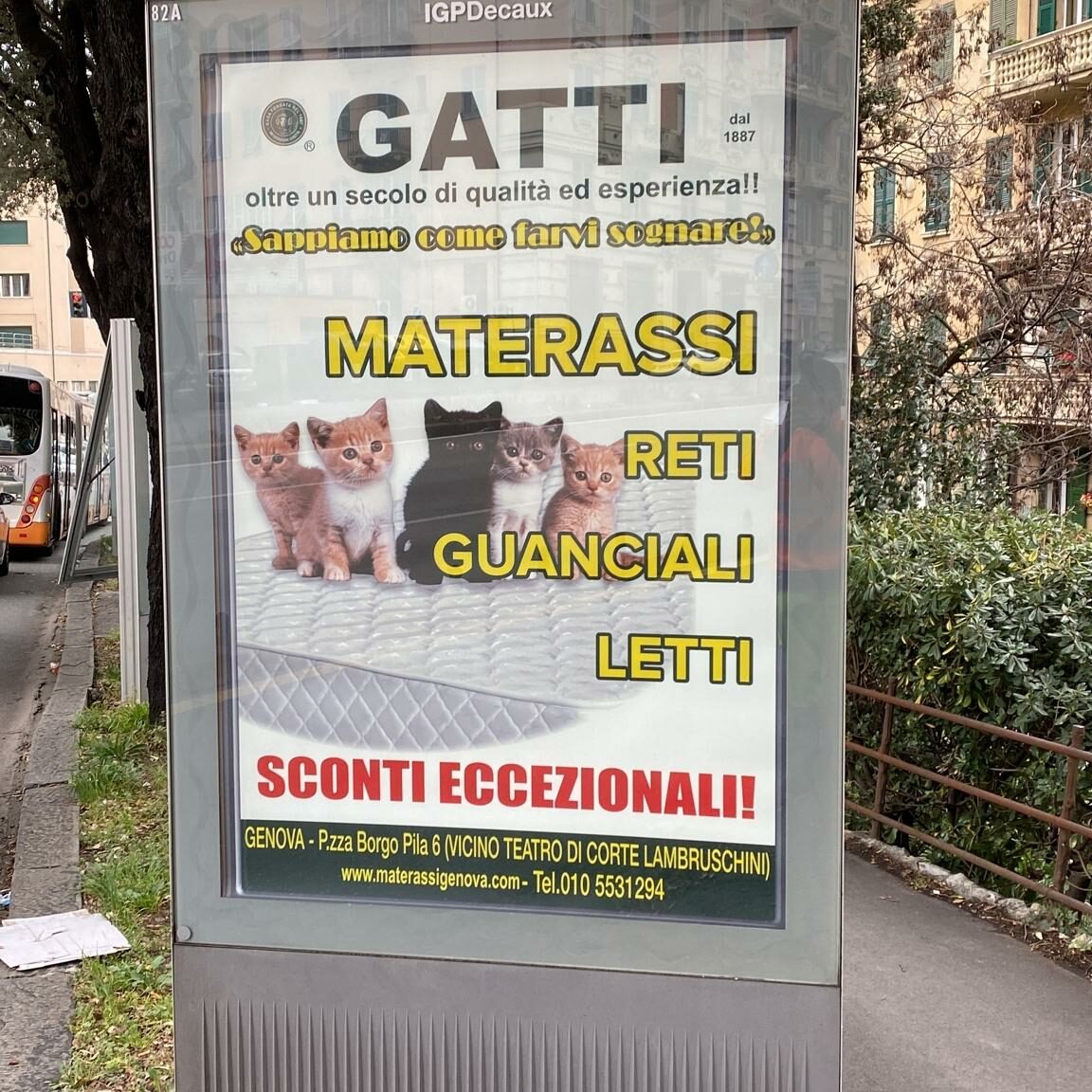 gatti - mupi 82A gastaldi