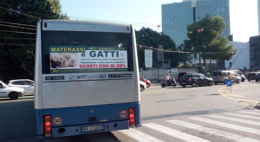 Gatti