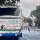 Ditta Gatti